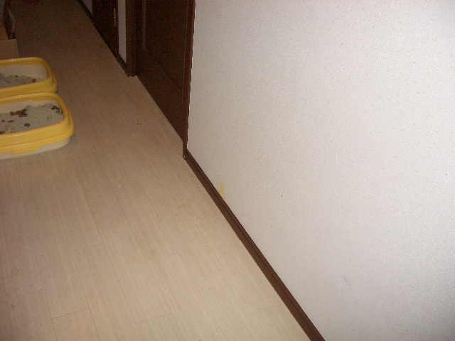 所沢市　不用品回収：不用品・粗大ゴミ2