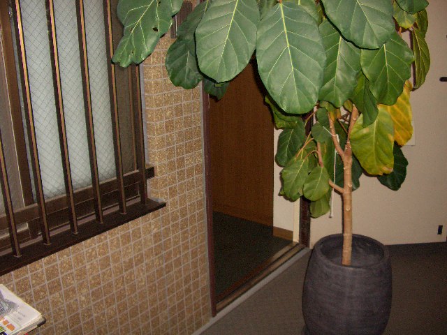 所沢市　不用品回収：不用品・粗大ゴミ1