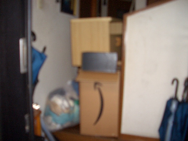 所沢市　不用品回収：不用品・粗大ゴミ1