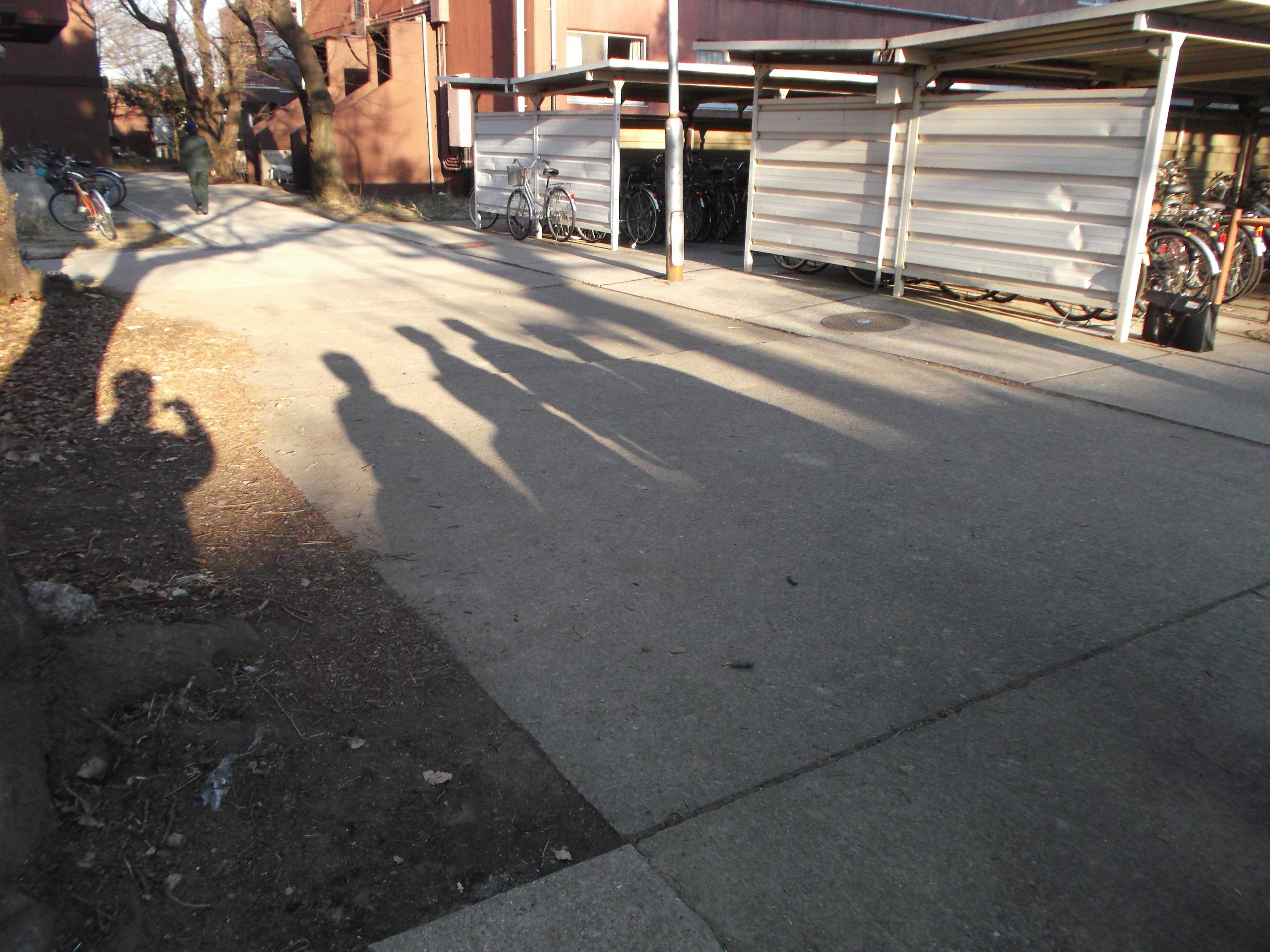 所沢市　不用品回収：不用品・粗大ゴミ2