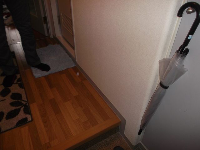 所沢市　不用品回収：不用品・粗大ゴミ2