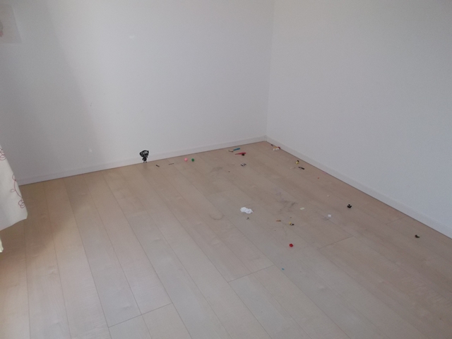 所沢市　不用品回収：不用品・粗大ゴミ2