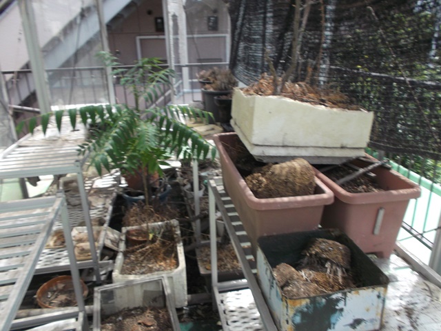 所沢市・三芳町　不用品回収：不用品・粗大ゴミ③